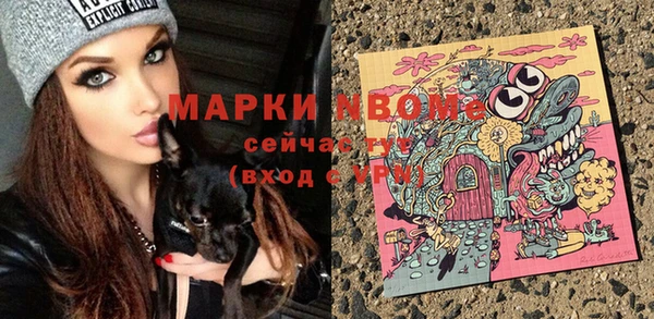 эйфоретик Баксан